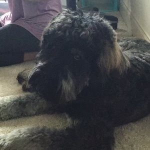 Meet your Posher, Lynette